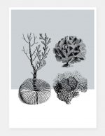Framed print .01