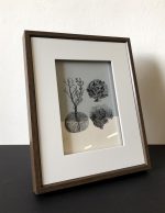 Framed print .01
