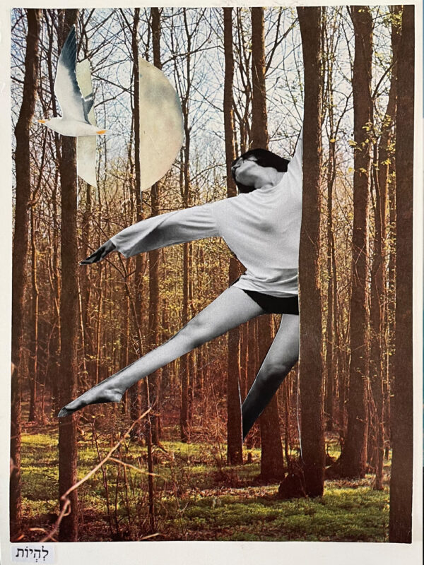 סדנת קולאז׳ - אורית כלב