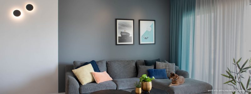 תמונות לסלון אורית כלב