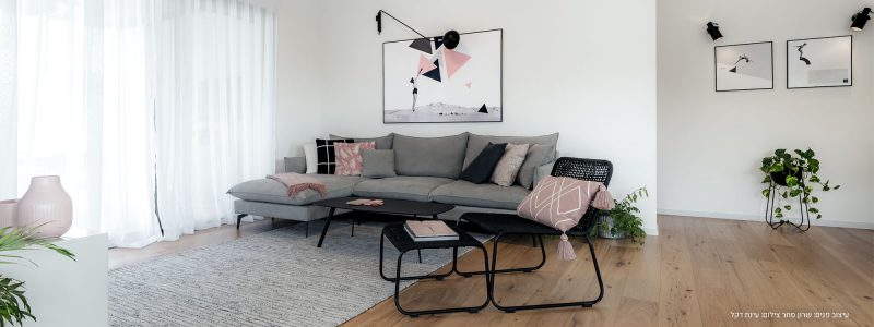 תמונות לסלון אורית כלב